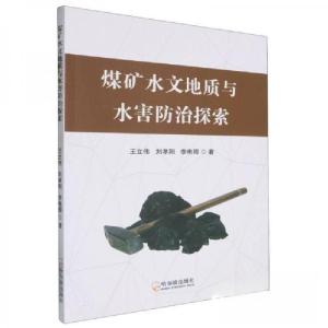 正版新书]煤矿水文地质与水害防治探索王立伟9787548473312