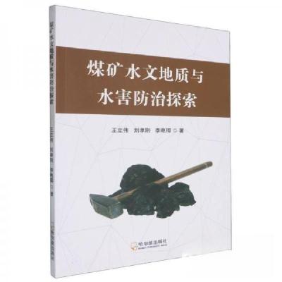 正版新书]煤矿水文地质与水害防治探索王立伟9787548473312
