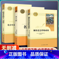 [钢铁是怎样炼成的] [正版]钢铁是怎样炼成的/名人传/给青年的十二封信原著完整版人民教育出版社初中生八年级下册bi须看