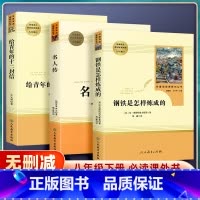 [钢铁是怎样炼成的] [正版]钢铁是怎样炼成的/名人传/给青年的十二封信原著完整版人民教育出版社初中生八年级下册bi须看