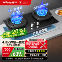 万和4.8KW燃气灶液化气双眼灶具台嵌两用煤气灶G6-L50-20Y