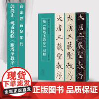 名家临名帖系列 郭尚先姚孟起临雁塔圣教序对照楷书毛笔书法字帖学生成人临摹帖练习 河南美术出版社
