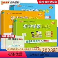 语文-[人教版] 九年级 [正版]2023版 初中学霸冲a卷七八九年级上册下册语文数学英语物理化学人教版北师版初一初二三