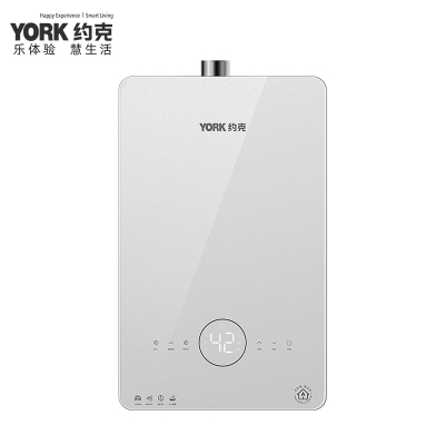 约克(YORK)燃气热水器16L家用强排恒温变频节能省气JSQ30-16-F22