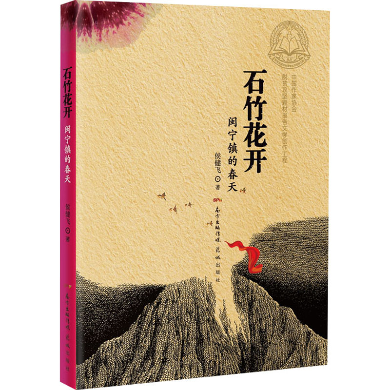 醉染图书石竹花开 闵宁镇的春天9787536092136