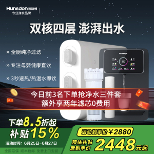 汉斯顿/Hunsdon家用0阻垢剂净水器管线机套装厨下式净饮机RO反渗透净水机过滤器母婴直饮厨房纯水机D3