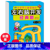 [正版]河马文化左右脑开发经典题2-3岁潜能开发智能训练幼儿园注意力专注力记忆力观察力训练逻辑思维游戏左右脑开发书亲子