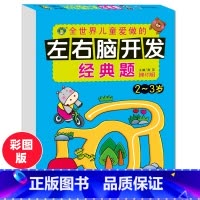 [正版]河马文化左右脑开发经典题2-3岁潜能开发智能训练幼儿园注意力专注力记忆力观察力训练逻辑思维游戏左右脑开发书亲子