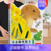 触摸书⭐小水獭 [正版] 触摸书0-3岁幼儿早教亮丽精美小兔比利儿童启蒙洞洞翻翻婴儿宝宝益智触感刺激不易撕烂早教认知幼儿