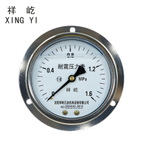 祥屹 耐震压力表轴向带边 YTN100ZT 块