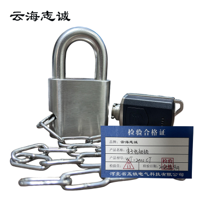 电子智能锁 WT-2000CT 1台