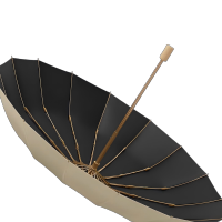 至桓牌 16骨雨伞女晴雨两用黑胶防晒防紫外线遮阳大号抗风折叠太阳伞 把