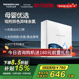 汉斯顿/Hunsdon[国家补贴]净水器家用厨房自来水过滤器厨下式无桶大流量净水机320EY 120L/H不用电无废水