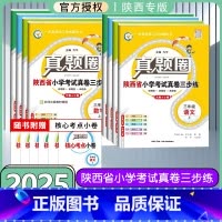 语文人教+数学北师大 三年级上 [正版]陕西2025新版小学真题圈三四五六年级上册下册语文数学英语人教版北师版3456年