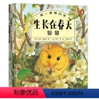第一眼看四季 全套4册 [正版]第一眼看四季绘本 全套4册 春夏秋冬四季节的变化系列 情景认知暖心图书 故事书幼儿园 小