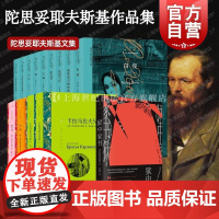 卡拉马佐夫兄弟上下/罪与罚/白痴 陀思妥耶夫斯基译文名著精选上海译文出版社俄国文学外国小说 另著被伤害与侮辱的人们/死屋
