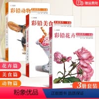 [正版]彩铅基础教程一本通花卉美食动物 2022一线美誉