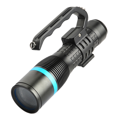 格瑞达 匀光勘查光源 GS6401 个