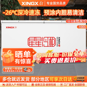 星星(XINGX) 700升 商用卧式冷柜 冷藏冷冻转换 冰柜 商用保鲜设备 微霜系统 节能省电 BD/BC-700R
