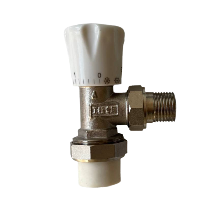 新鑫兴 温控阀 DN25 个