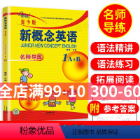 [正版]子金传媒新概念英语青少版1A1B名师导练新概念英语青少版1ab习题大全课课语法精讲精练拓展阅读新概念英语阅读理