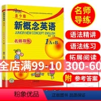 [正版]子金传媒新概念英语青少版1A1B名师导练新概念英语青少版1ab习题大全课课语法精讲精练拓展阅读新概念英语阅读理