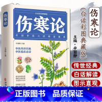 [正版]伤寒论张仲景原著全集彩色图解伤寒杂病论白话文 中医养生书籍大全医学全书 中医临床知识自学入门零基础学中医古籍出