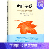 一片叶子落下来 绘本 [正版]一片叶子落下来绘本 任溶溶翻译精装 利奥巴斯卡利亚著 关于生命的故事 小学生二年级三四年级