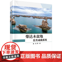 柴达木盆地盐类成藏系统科学出版社