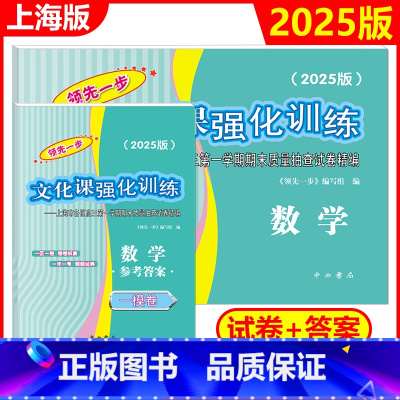 2025高考一模 数学[试卷+答案] 高中三年级 [正版]2025-2024年版领先一步 数学 上海高考数学一模卷 试卷