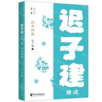 [N]北方的盐(迟子建精读)/壹本-9787533964115
