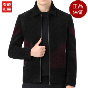 免费试穿 2024春秋新款立领羊绒毛呢夹克男士中老年翻领爸爸装棒球领外套2024冬装新款外套潮大码男装