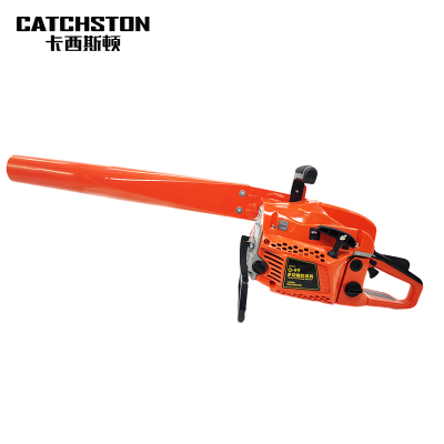 卡西斯顿 吹风机 Q-99 台