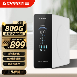 志高800加仑大通量净水器800W(自行安装)
