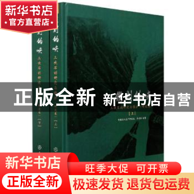 正版 镌刻的峡 三峡石刻研究与保护(研究卷) 李宏松 文物出版社