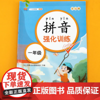 一年级拼音拼读训练幼小衔接一日一练专项强化练习册小能手学习神器幼儿园儿童汉语教材启蒙书幼儿学前基础大全每日一练二年级读物