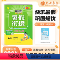 数学 小学通用 [正版]2024秋实验班提优训练暑假衔接三升四年级数学人教版假期训练3升4年级同步练习册暑假作业三年级下