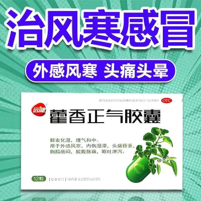 [10盒装 囤货装]远健藿香正气胶囊 用于外感风寒,内伤湿滞,头痛昏重,胸膈痞闷,脘腹胀痛,呕吐泄泻。