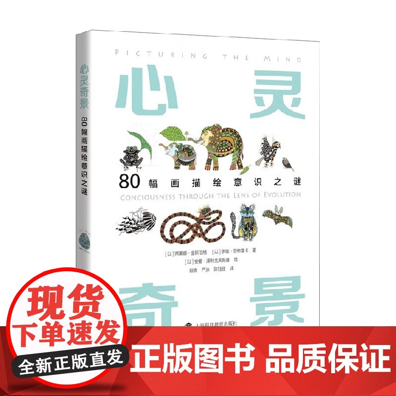 心灵奇景 80幅画描绘意识之谜 西蒙娜·金斯伯格等 著 励志与成功