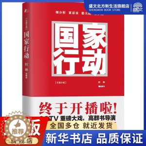 [醉染正版]国家行动 程琳 著 著作 官场、职场小说 文学 江苏文艺出版社 图书