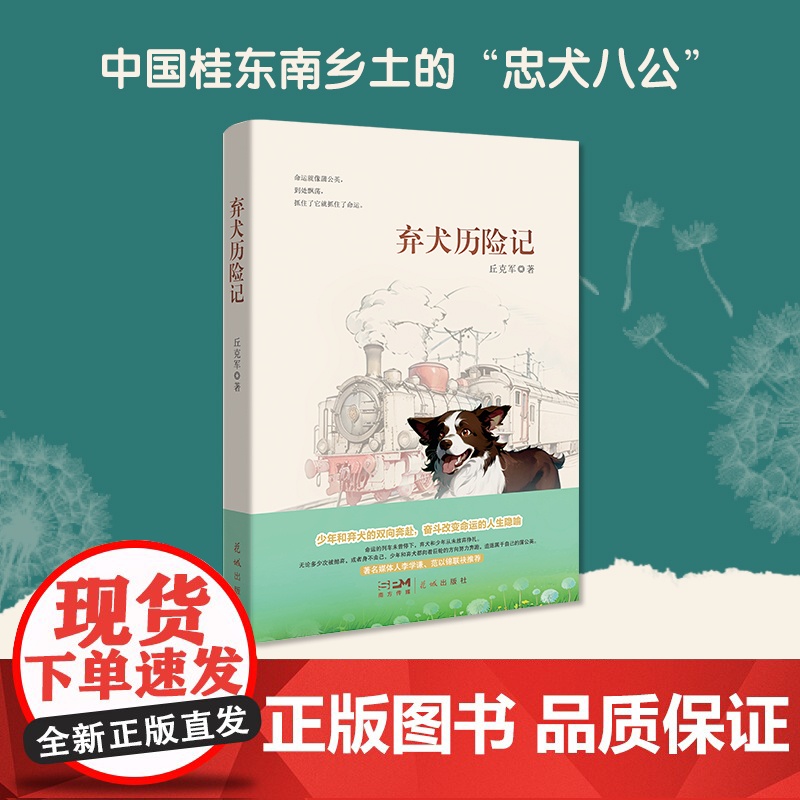 弃犬历险记 丘克军著 儿童文学 中国桂东南山乡里的“忠犬八公” 花城出版社正版书籍