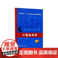 计量经济学(普通高等教育“十三五”经济与管理类专业核心课程规划教材)