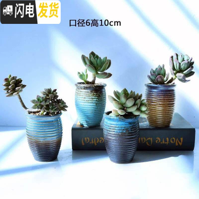 三维工匠韩式多肉复古老桩花盆肉肉植物吸水透气粗陶盆小花盆创意花盆 爆美老桩4个 中等花盆容器