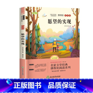愿望的实现 [正版]愿望的实现 彩图注音版一二三年级课外阅读书世界经典儿童文学少儿名著童话故事书 快乐读书吧书目老师课外