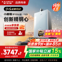 史密斯佳尼特[小精钢TJS5]16升增压零冷水燃气热水器 国家补贴 JSQ31-TJS5 安全守护 持久恒温 新品