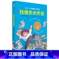 钱堆里的男孩 [正版]大卫少年幽默小说系列全套 了不起的大盗奶奶钱堆里的男孩圆梦小队的午夜计划 大盗奶奶的完美冒险 魔鬼