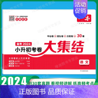[语文]小升初考卷大集结 小学通用 [正版]2025版小学知识大盘点语文数学英语小升初名校冲刺方案模拟考试真题精选试卷考