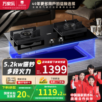 万家乐 燃气灶JZT-AC9 家用天然气智能定时灶5.2kw嵌入式台式两用燃气灶具双灶 天然气