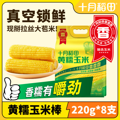 十月稻田黄糯玉米 3.52斤(220g*8根) 东北玉米棒甜糯低脂新鲜真空装早餐苞米