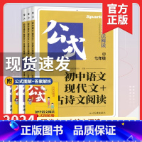 现代文+古诗文阅读 九年级/初中三年级 [正版]2024星火巅峰训练初中语文现代文+古诗文阅读公式法800题七八九年级初